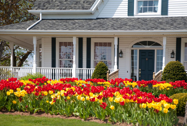 Home Insurance